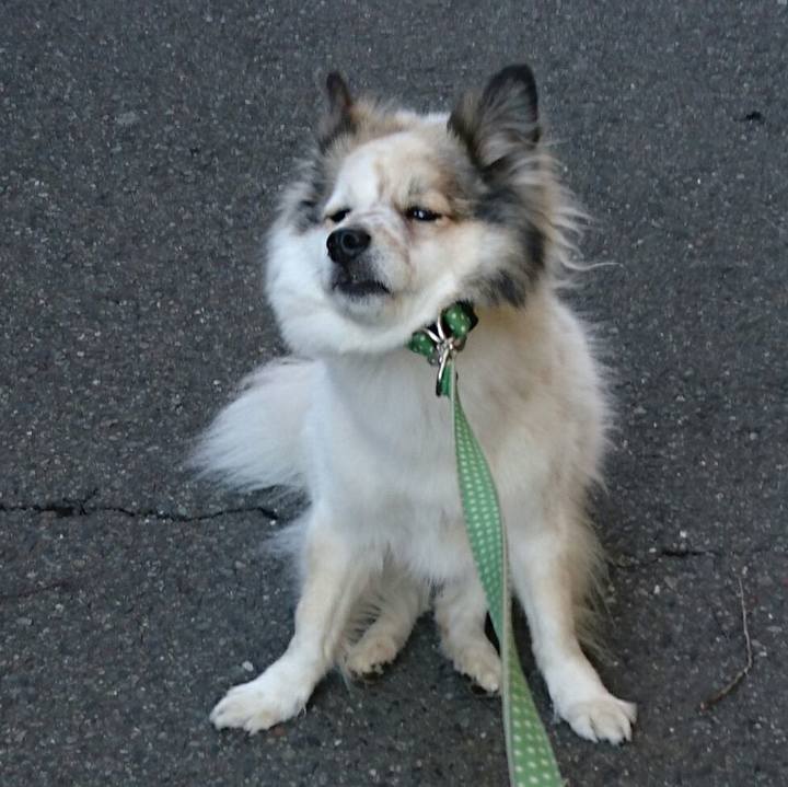 6470869f 6f97 4960 b180 919fe37182bd