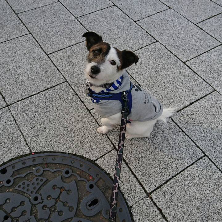 6470bc31 fa63 4ef9 aaf7 98238504c3c5