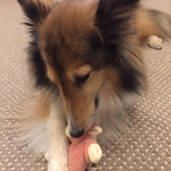 647116c5 361e 495b 9160 8abc20fa0904