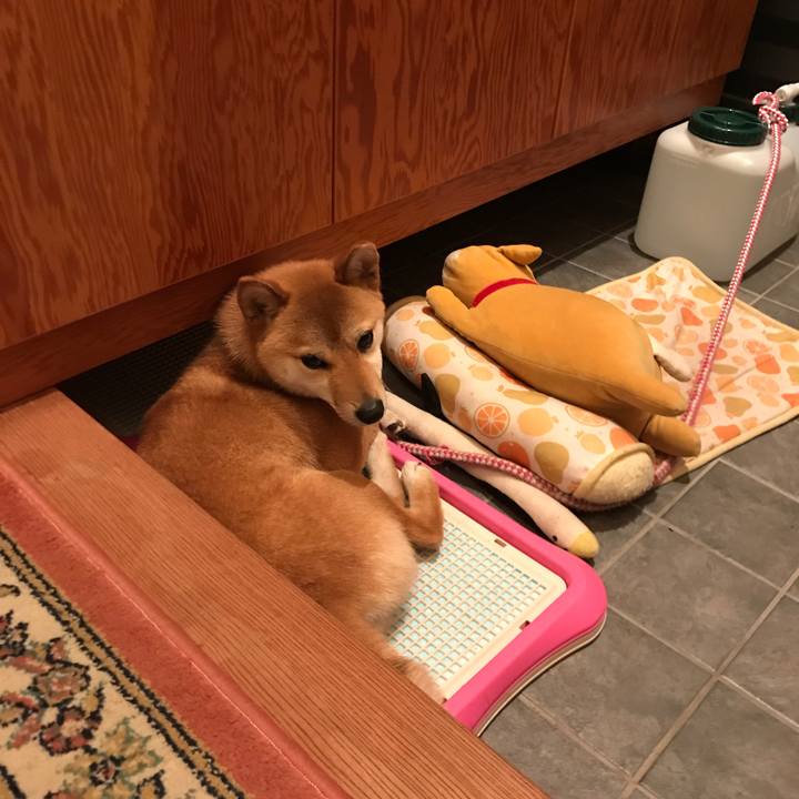 64714f96 1470 4e64 a3a3 1f22105c12bf