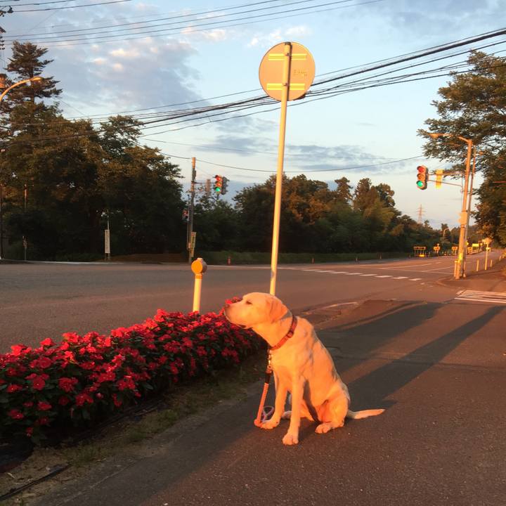 6471bde0 4591 42ab 9fe2 35f2b96ef75f