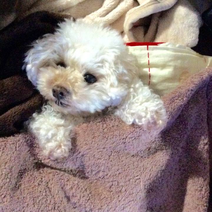 64722b02 7887 4e11 8d44 f94f5230cbcf