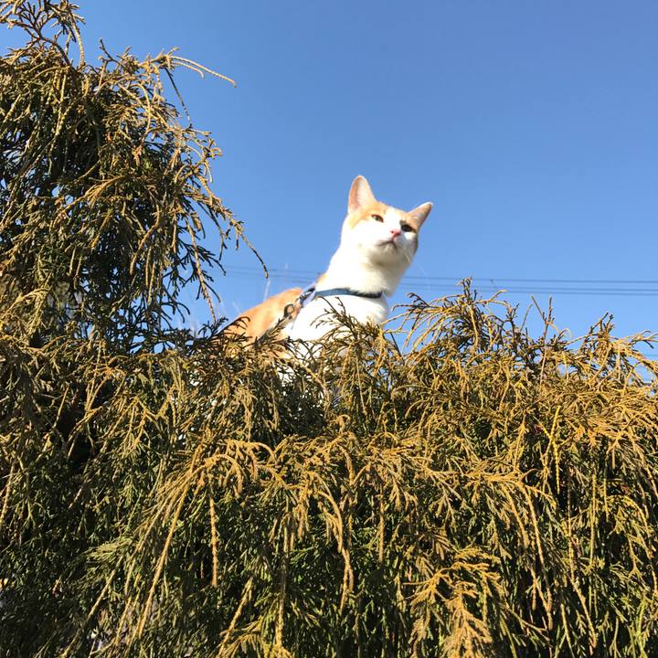 64736a0a 01ed 4ed8 b205 b7c7c5c3e2fd