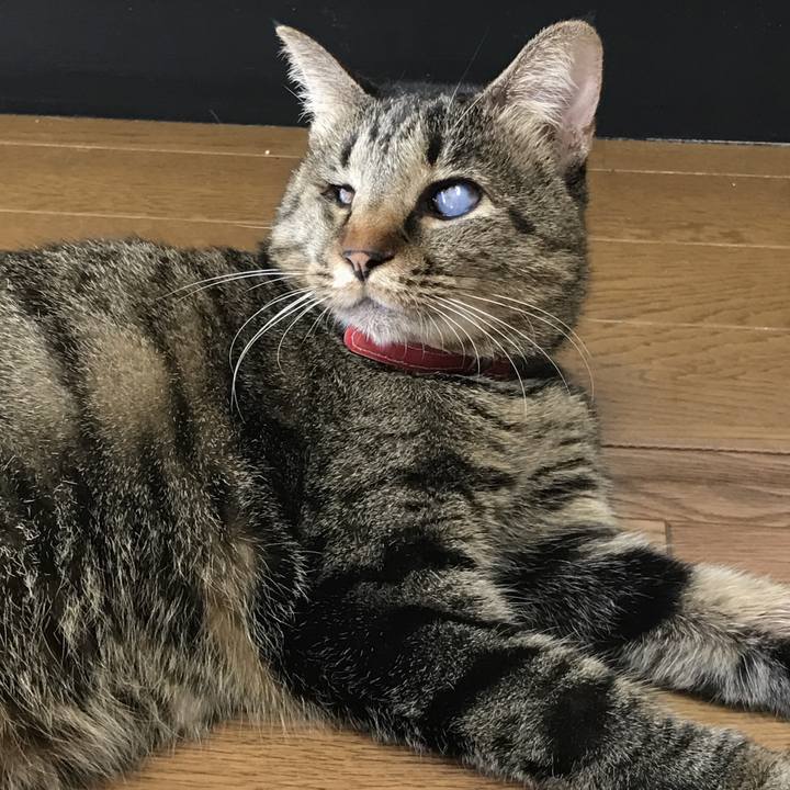 64739618 3e53 4f9a 815c df4f67788f00