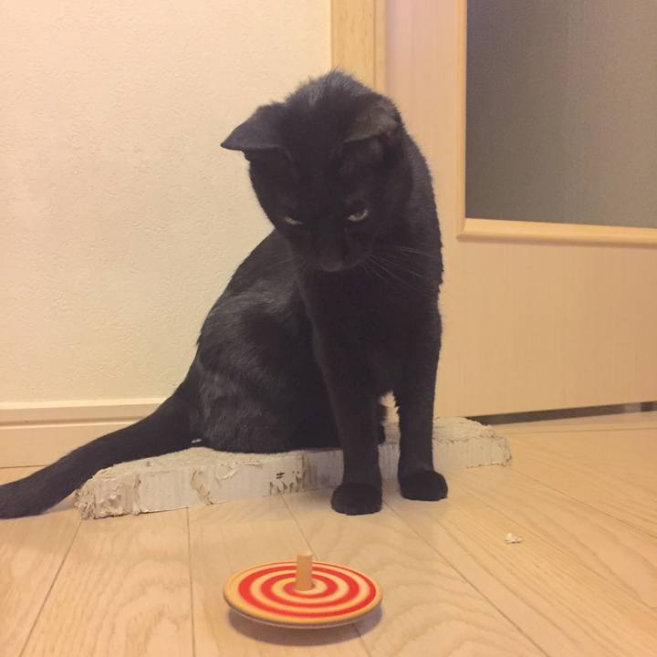 6474a1a7 21ff 48a9 b0ad 695a3250727f