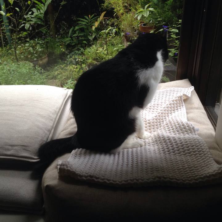 6474a687 f441 4ac1 a7e7 555f3de1a1c3