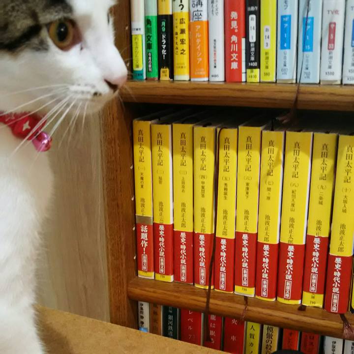 6474cd77 6558 4220 bd77 726262dd899c