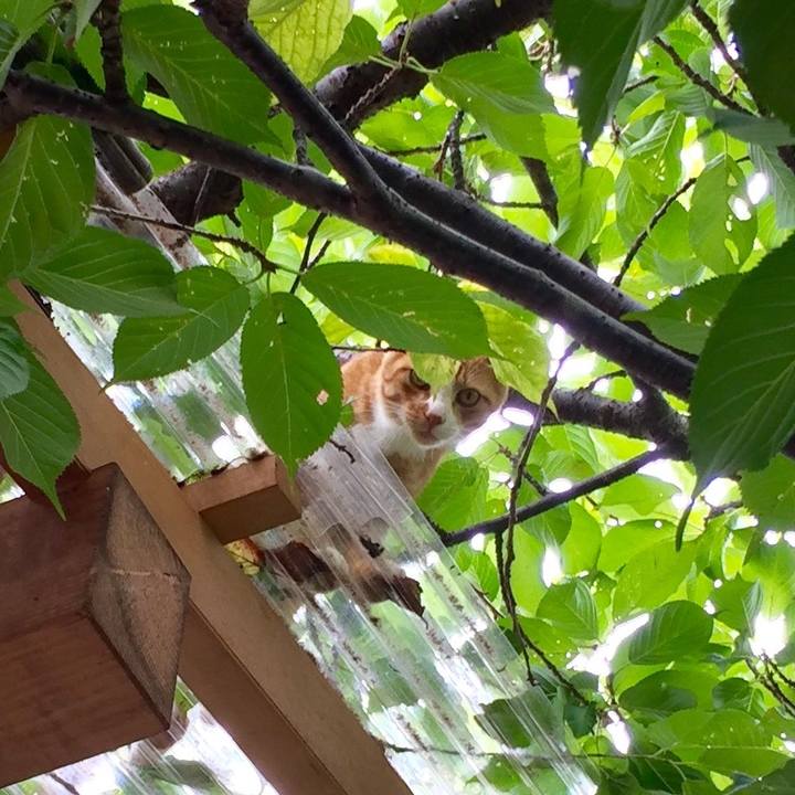 6474e883 7b09 4a2f 9067 b196af85580c