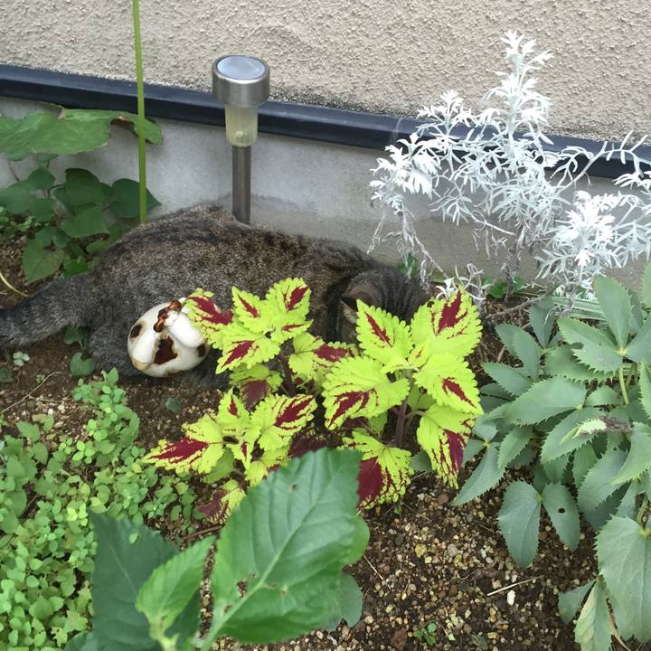 647540b7 9307 452f 8ab0 8253facee00b