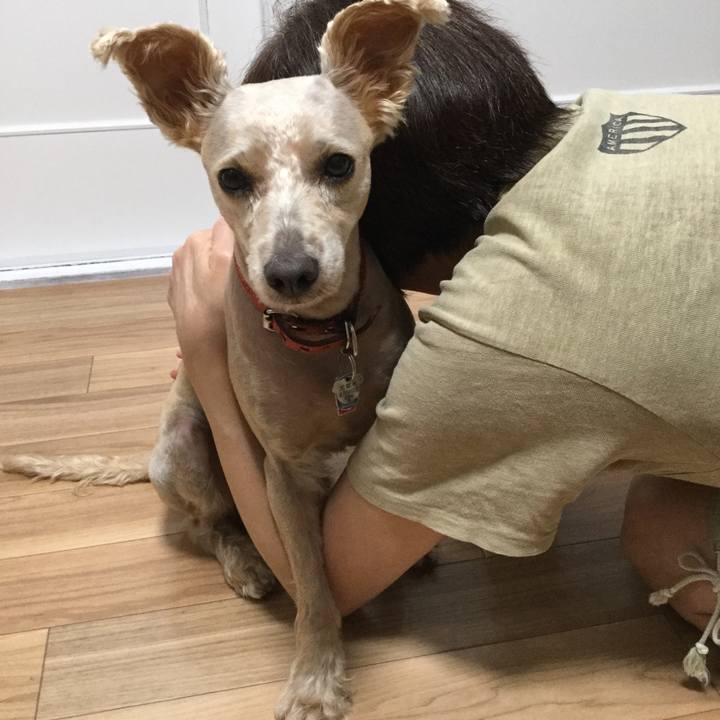 64763740 7315 4b77 8d27 afef59df73ef