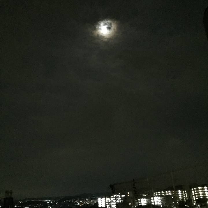 647667bf b476 4c76 8011 62c6bc23f667