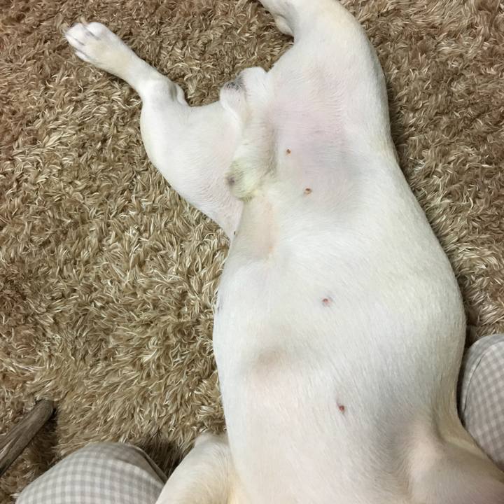 6476790c e4ce 4490 b759 4ba3ff1c6817