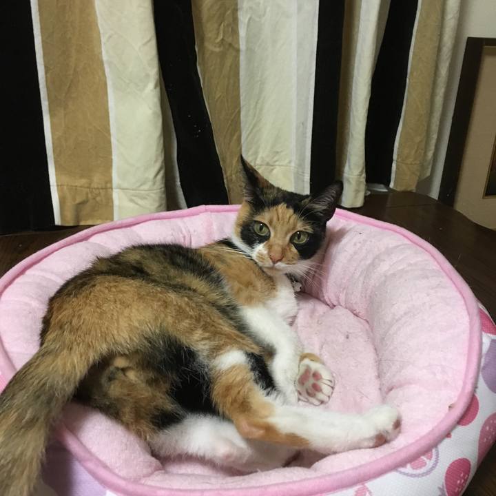 64769681 47f4 47ec a7b2 18c24c3e80fa