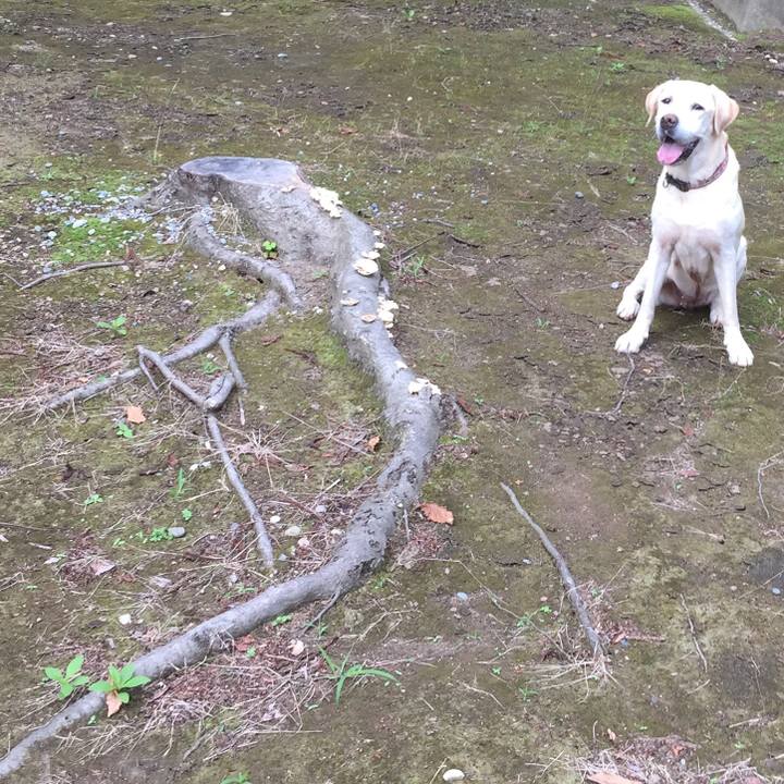 6476a0ab 4e1f 462a 8592 24f546dd3ec5