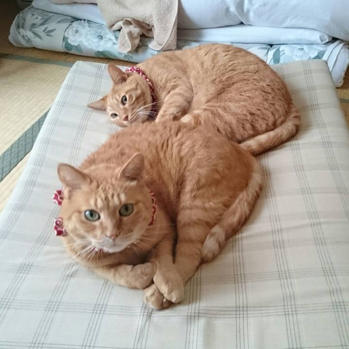 6476b1fd 5378 4f97 9aa8 7f79d449367d