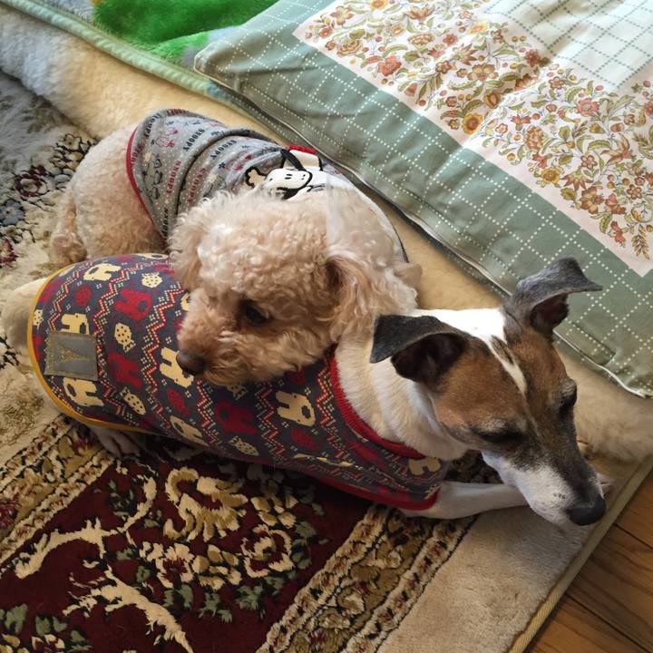 64775271 fa36 4948 9b3c 407c2aaec2c4