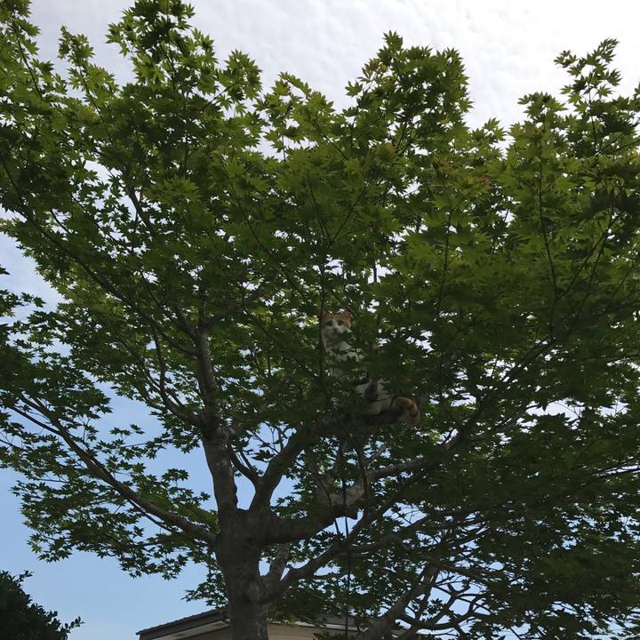 647771b6 d382 45b9 921f ad83b17efbf2