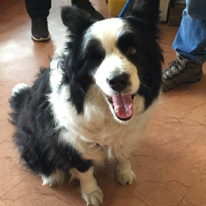 647831bd 0dcd 4353 8b54 e090d011aaaf