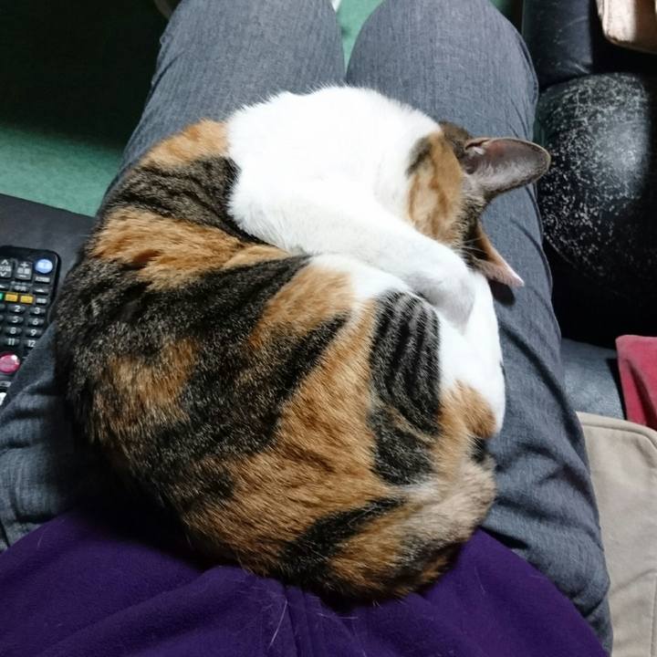 64788674 f707 4ae8 be5f 3748615a39a1