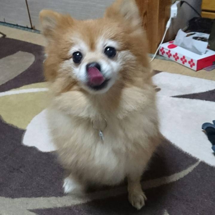 64789a6e da59 4d5a 8533 9bd53f199f26