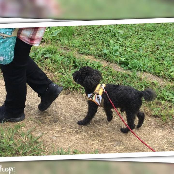 6478ed36 0de0 4625 92a5 f118dbfe2d79