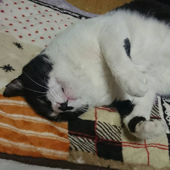 64795a0d 25ce 40cc 923a cb7023f7aecf