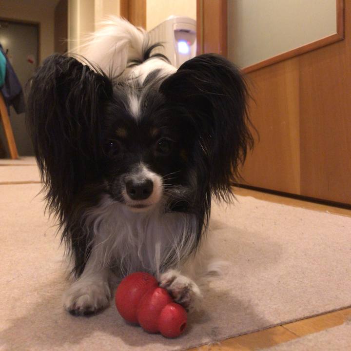 647a382f f071 4c0e 8dc2 05a8e6567591