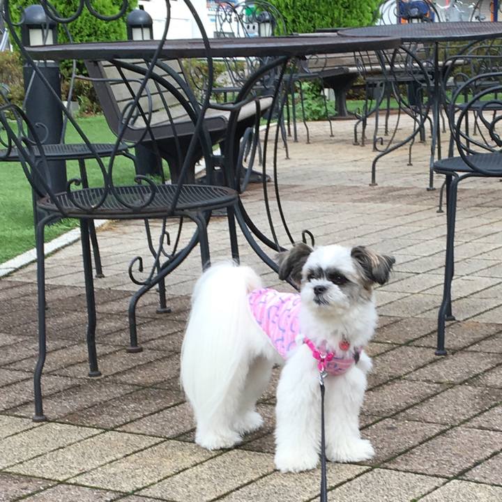 647a5403 9993 48c1 a5e0 af2bcc3840a9