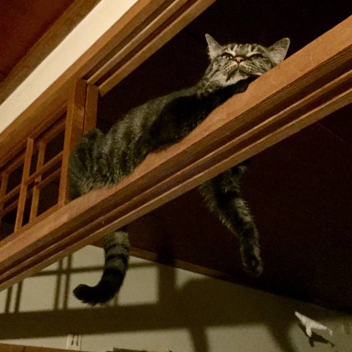 647a5e0e 02aa 4807 942c c84eb026a0af