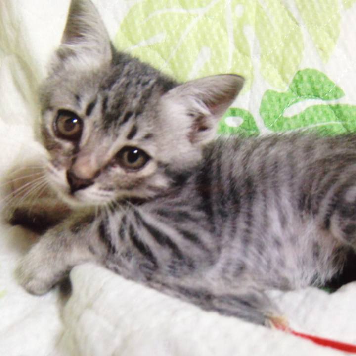 647a71d3 add2 4b22 84c0 e5824fb501cd