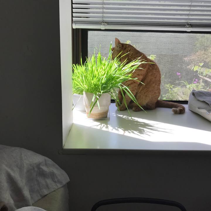 647afb89 5d8a 4125 a317 4ef47987c4f7