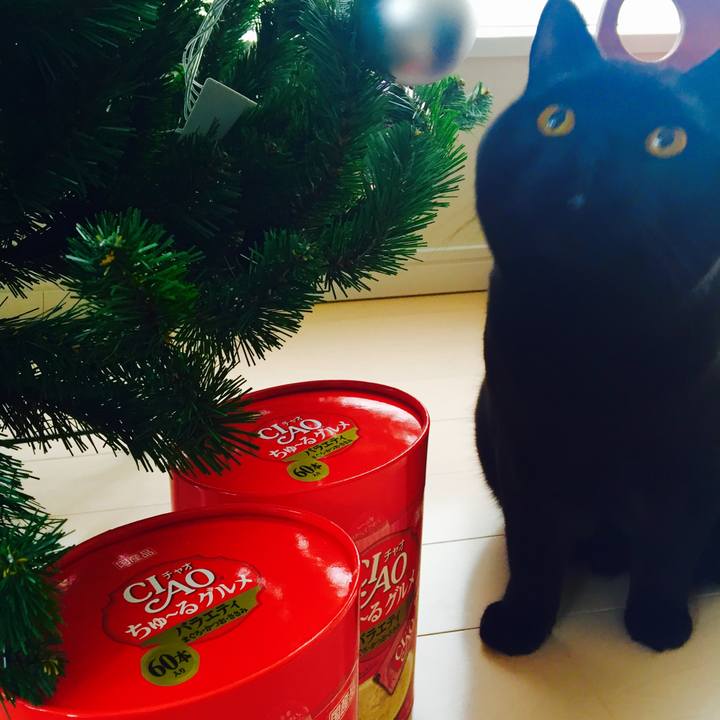 647b885e cff3 4a93 b0f9 9e3f1ff40733