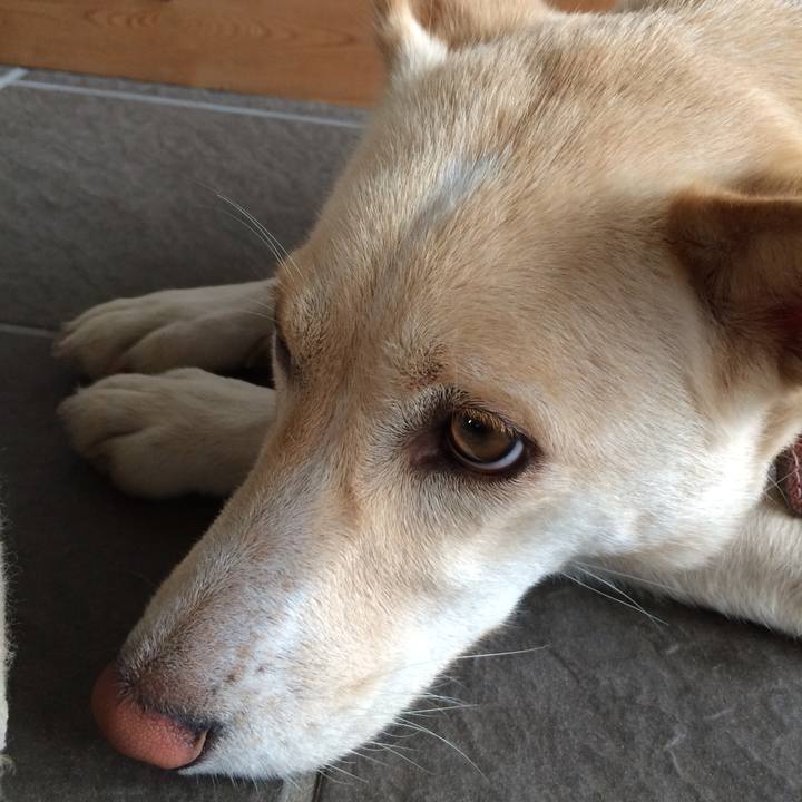 647b8ae0 8e75 4d8f a1b5 4f892db7b61e