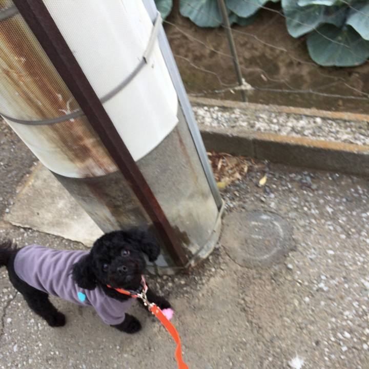 647bfb6b 771a 42cb 9911 28362b6deaa4