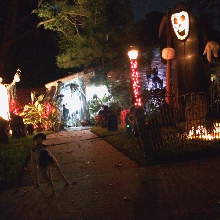 647bfc95 1e83 4eb0 83e8 a17a4ec17f31