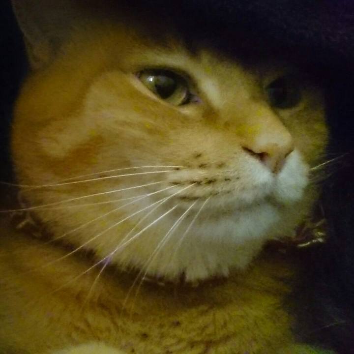 647c3d64 e123 42f0 9ea9 ab1845ef8f37