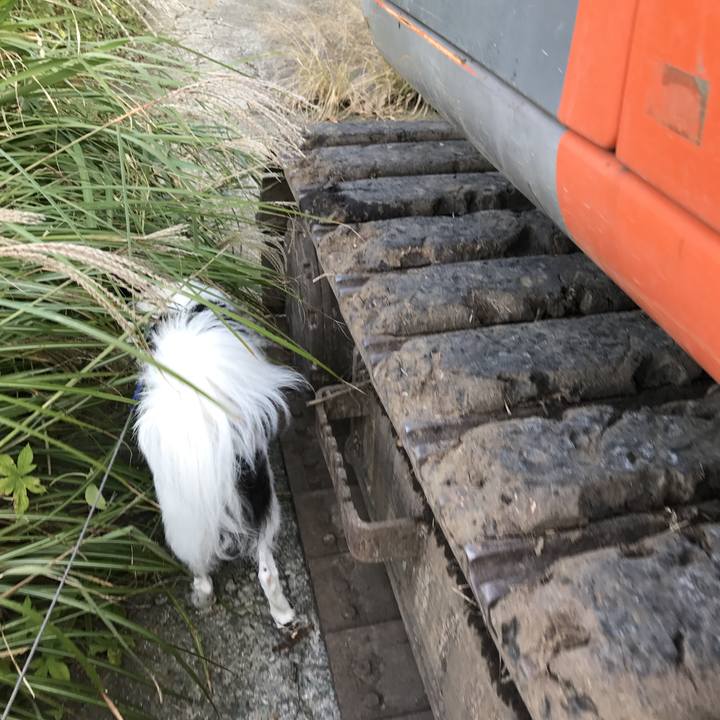 647c7beb 5ed4 4208 95ce ec544d84ea75