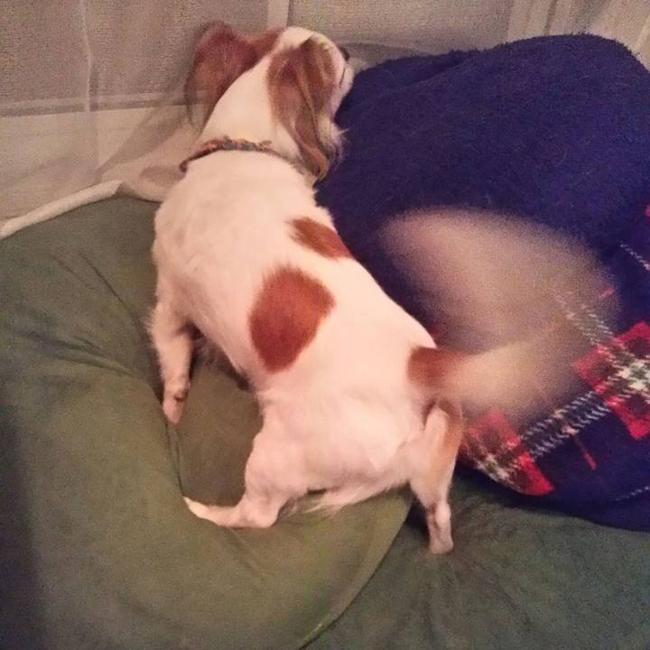 647c8fb0 e2bf 4b94 9dde 9c950ee22168