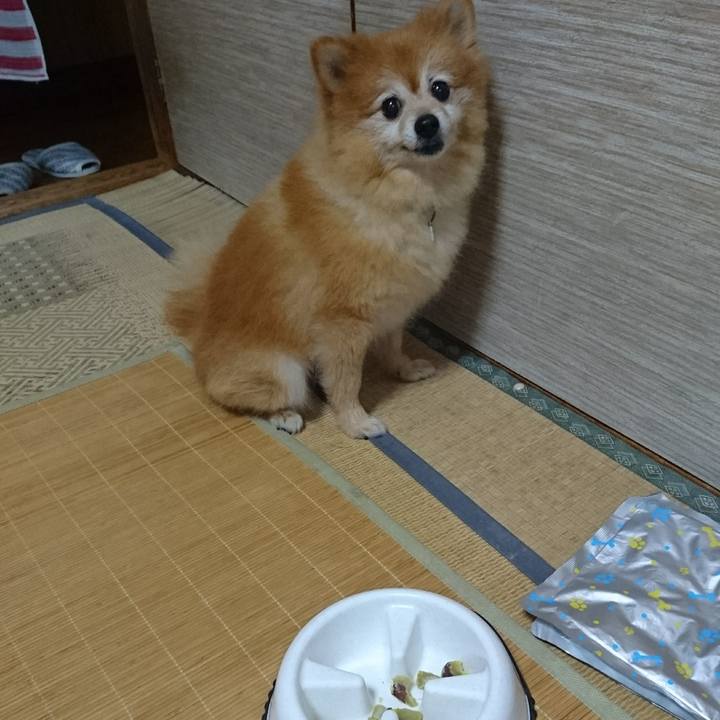 647d3111 6e9e 40da 9da1 fd85e7379ce4