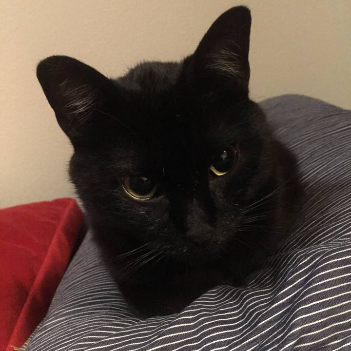 647dc18f 8f51 4eff 9d7e 6e1d19123246