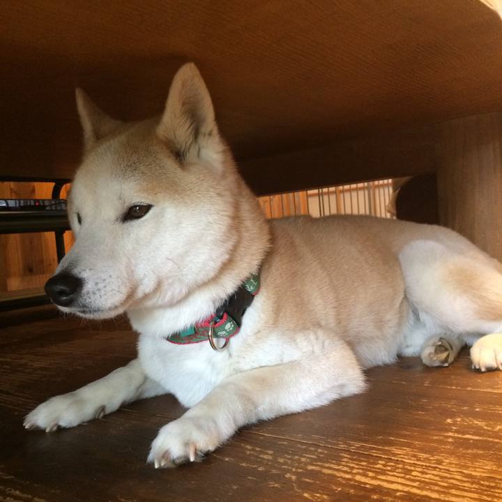 647e2503 a9bf 476e 9939 cf75fc9e2994