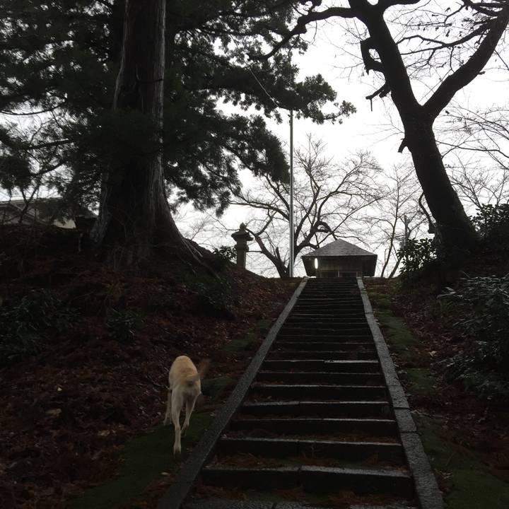 647e32aa e437 4bf2 8f3f c83a959a4b2f