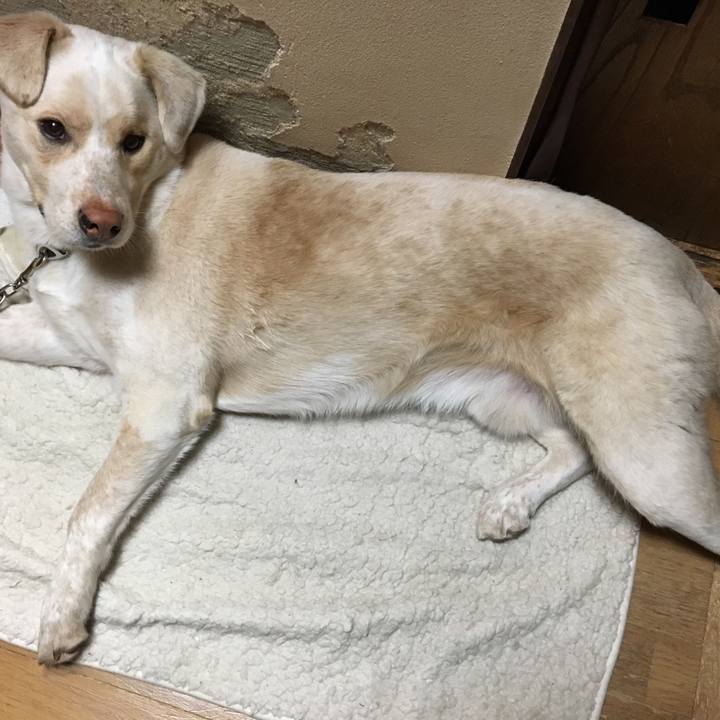 647e3b06 26a0 4ec9 891f f9d92c025b66