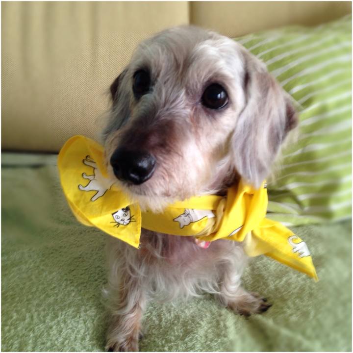 647e5e52 8247 49b1 8891 a1712faa1172