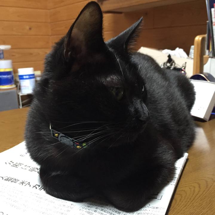 647e972b dca0 442d b1ec 0d9bdc6922ac