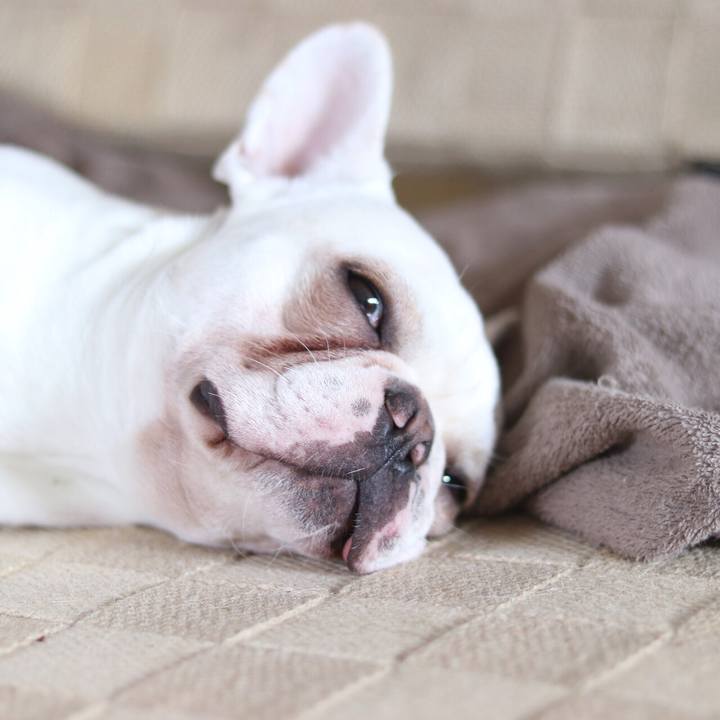 647ea82b d1ec 4036 a836 21eaf4af562c