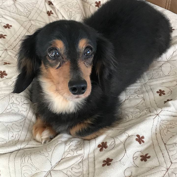 647eb1bd 020b 4ecf 83e8 0c85810778e4