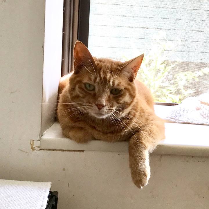 647ed84d 2dc2 4c6b 92d4 fe64cc40908c