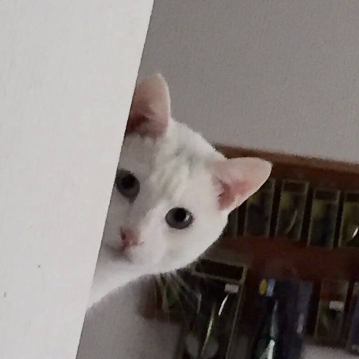 647f6a35 4adc 4eb4 8910 f4c3d1d908ab