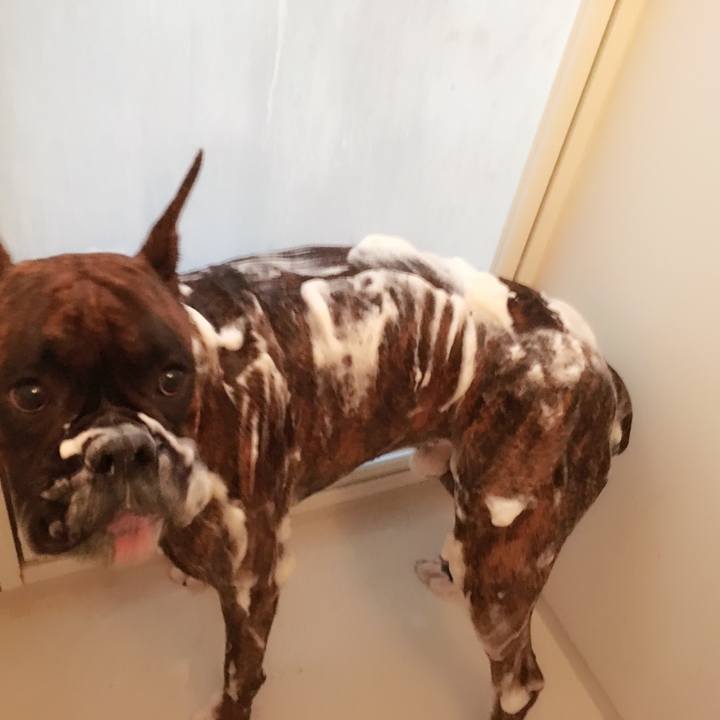 647f786f 33ae 48df 9b30 cba58b21d9d5